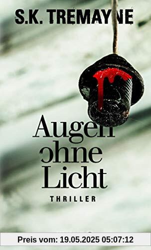 Augen ohne Licht: Thriller (Eiskalte Thriller)