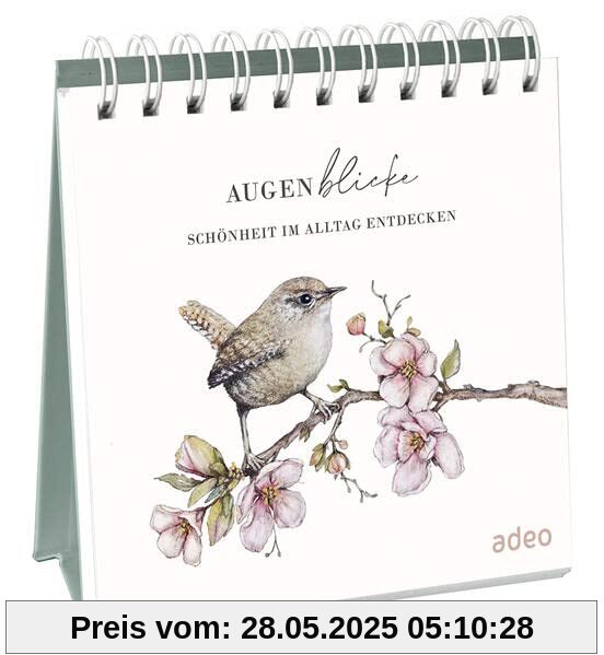 AugenBlicke - Aufstellbuch: Schönheit im Alltag entdecken