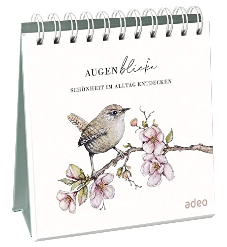 AugenBlicke - Aufstellbuch: Schönheit im Alltag entdecken
