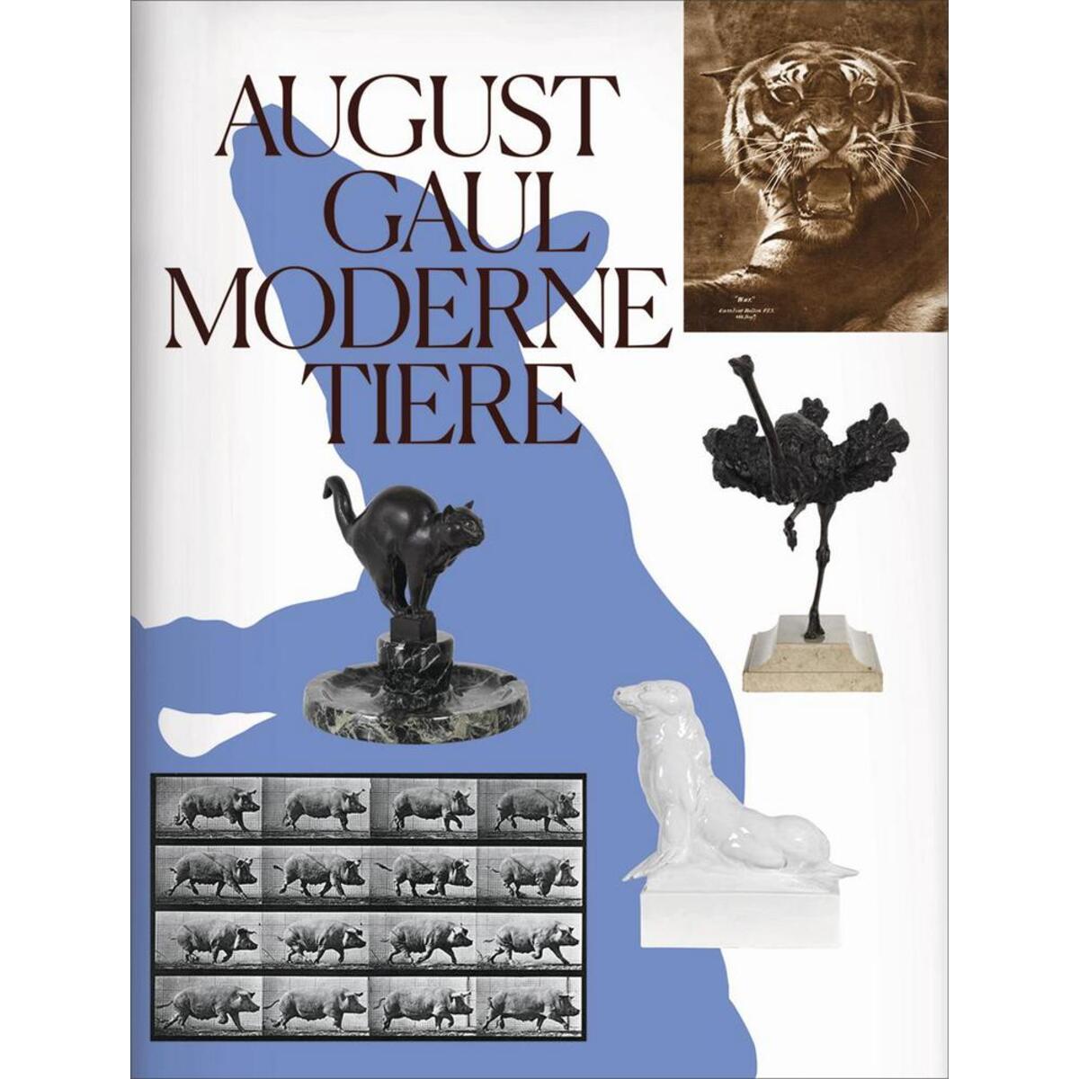 August Gaul von Hirmer Verlag GmbH