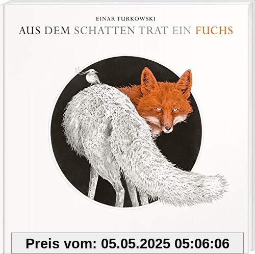 Aus dem Schatten trat ein Fuchs