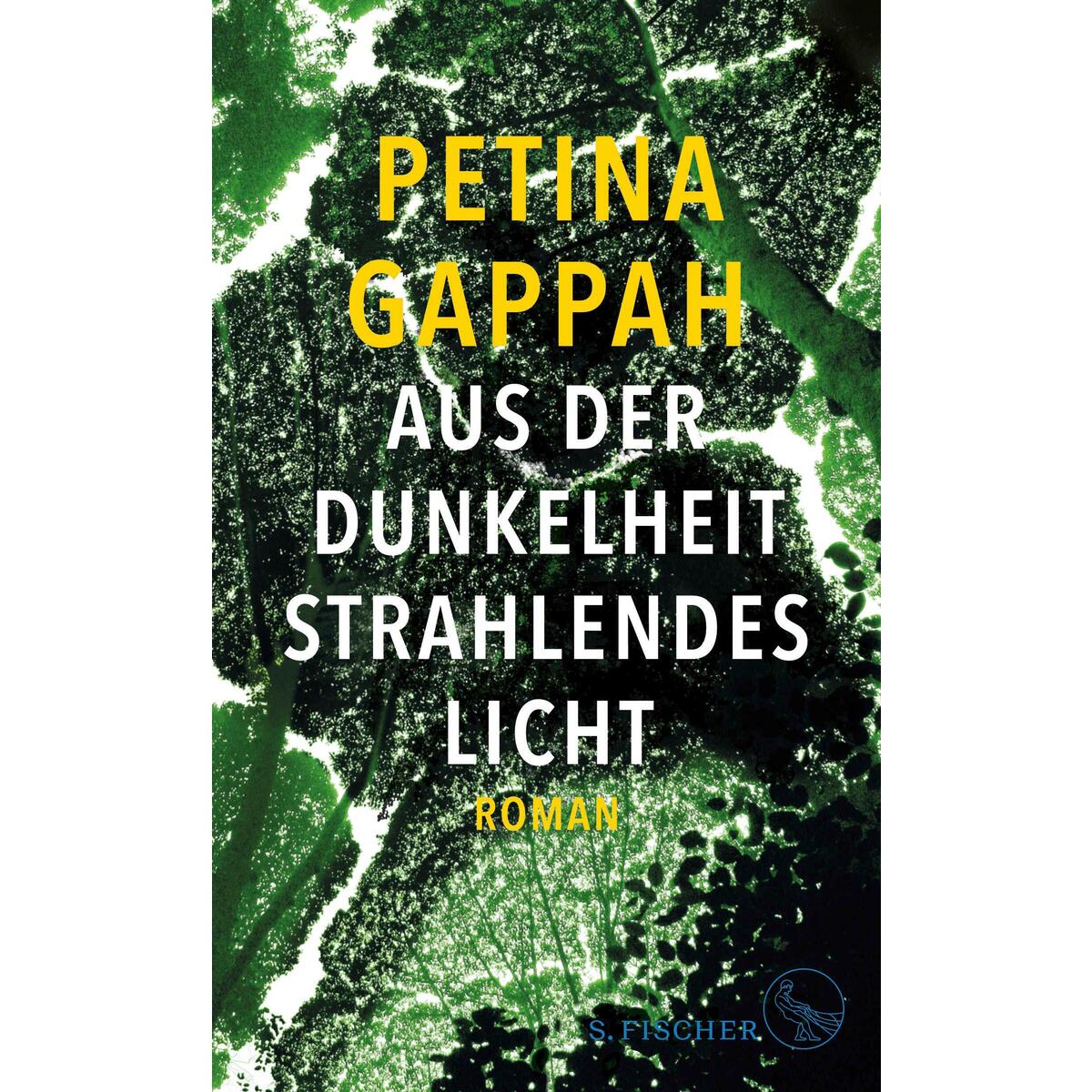 Aus der Dunkelheit strahlendes Licht von FISCHER, S.