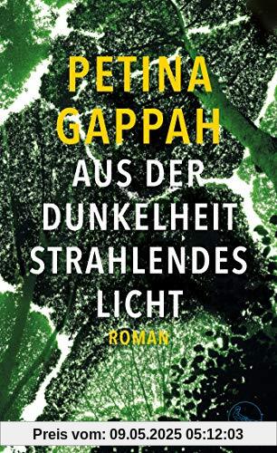 Aus der Dunkelheit strahlendes Licht: Roman