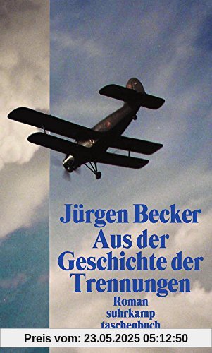 Aus der Geschichte der Trennungen: Roman (suhrkamp taschenbuch)