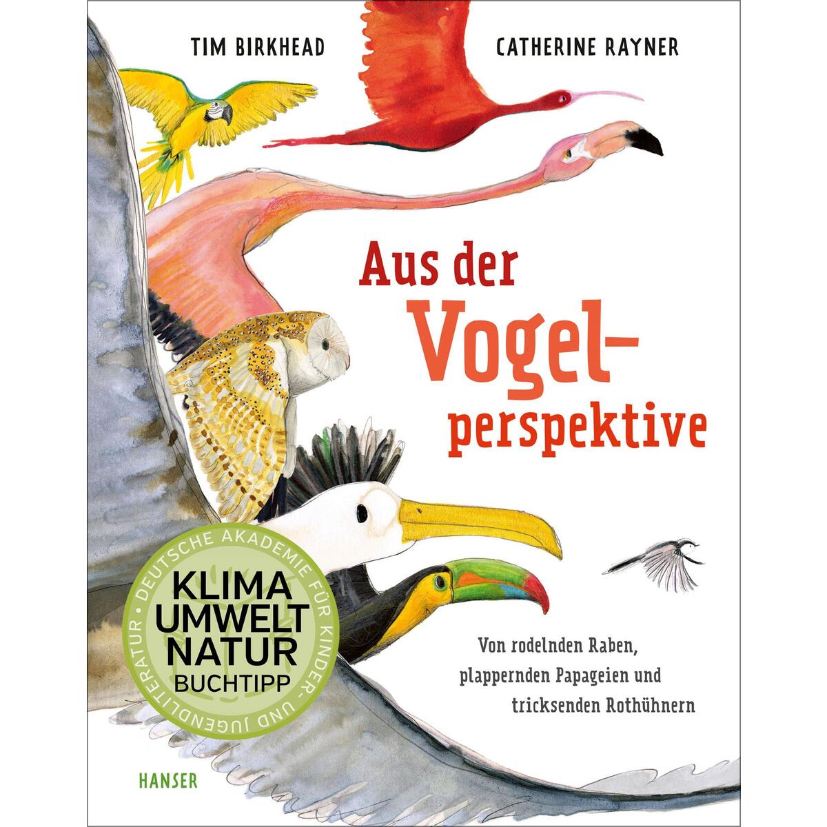 Aus der Vogelperspektive von Carl Hanser Verlag