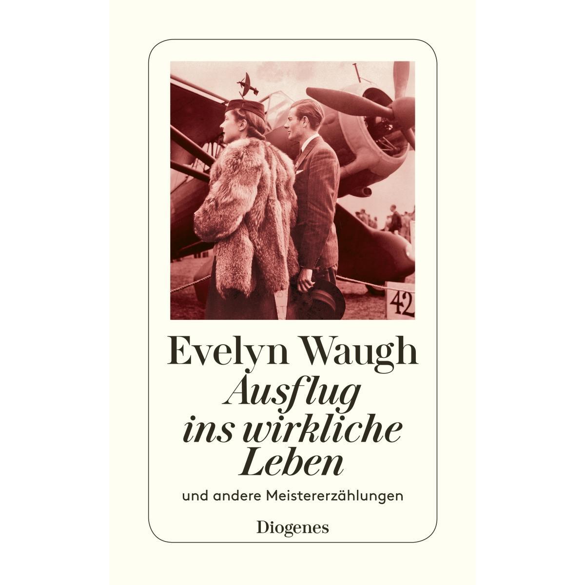 Ausflug ins wirkliche Leben von Diogenes Verlag AG