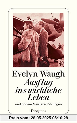 Ausflug ins wirkliche Leben: und andere Meistererzählungen (detebe)