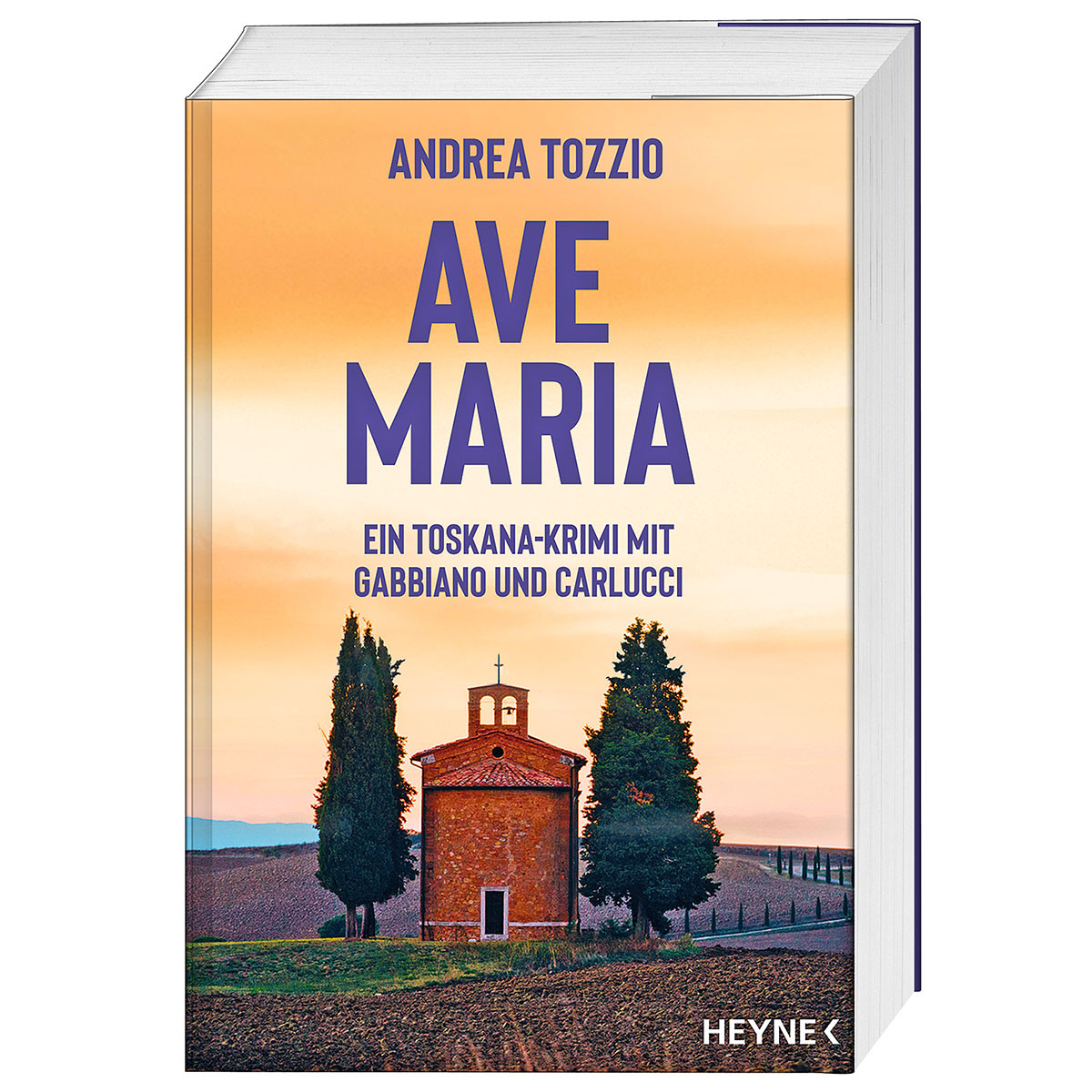 Ave Maria von Heyne Taschenbuch