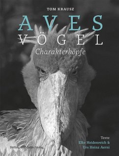 Aves   Vögel. Charakterköpfe von Dölling & Galitz