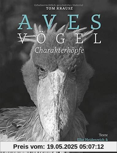 Aves | Vögel. Charakterköpfe