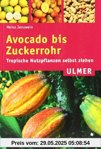 Avocado bis Zuckerrohr: Tropische Nutzpflanzen selbst ziehen