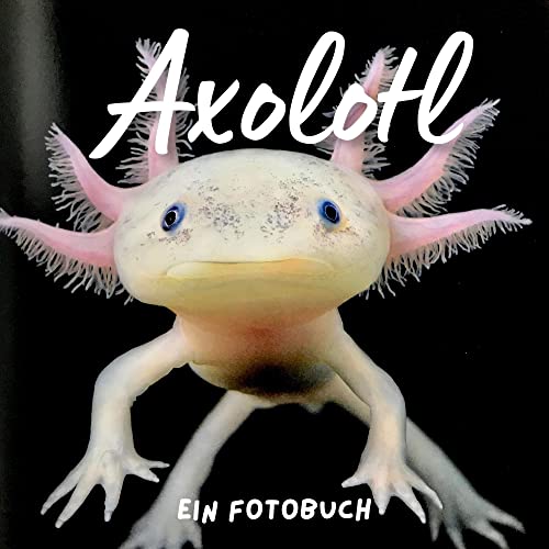 Axolotl: Ein Fotobuch. Das perfekte Geschenk für Weihnachten und zum Geburtstag von 27 Amigos