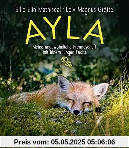 Ayla - meine ungewöhnliche Freundschaft mit einem jungen Fuchs