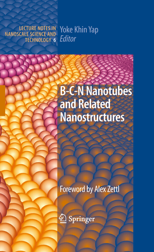 B-C-N Nanotubes and Related Nanostructures von Springer New York