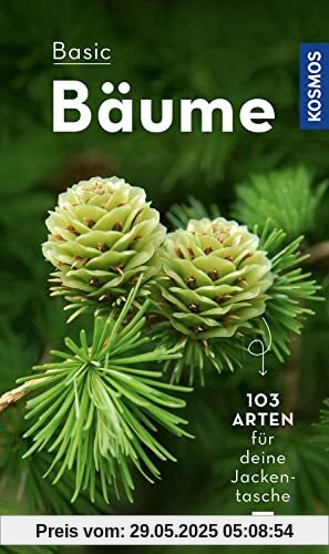 BASIC Bäume BASIC Bäume