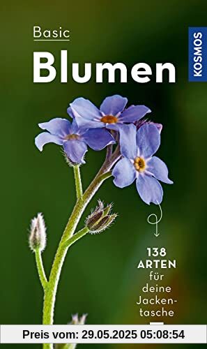 BASIC Blumen