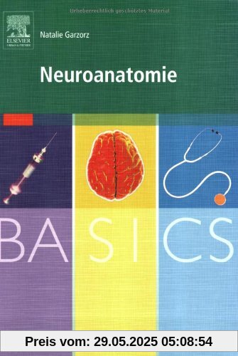 BASICS Neuroanatomie