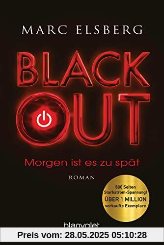 BLACKOUT - Morgen ist es zu spät: Roman