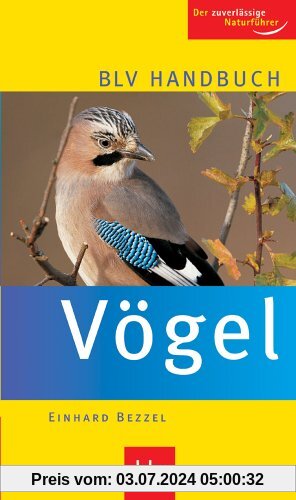 BLV Handbuch Vögel: Der zuverlässige Naturführer