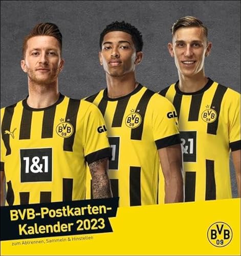 BVB Postkartenkalender 2023. Kleiner Kalender für große Fans: Die Stars von Borussia Dortmund in einem Tischkalender zum Aufstellen. Jeden Monat eine Spieler-Postkarte. von Heye Kalender