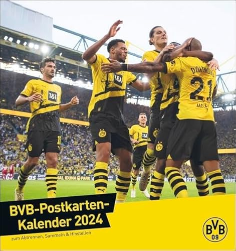 BVB Postkartenkalender 2024. Kleiner Kalender für große Fans: Die Stars von Borussia Dortmund in einem Tischkalender zum Aufstellen oder Aufhängen. Jeden Monat eine Spieler-Postkarte. von Weltbild