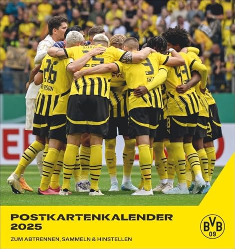 BVB Postkartenkalender 2025: Kleiner Kalender für große Fans: Die Stars von Borussia Dortmund in einem Tischkalender zum Aufstellen oder Aufhängen. Jeden Monat eine Spieler-Postkarte. (ABAJH41(04)) von Heye
