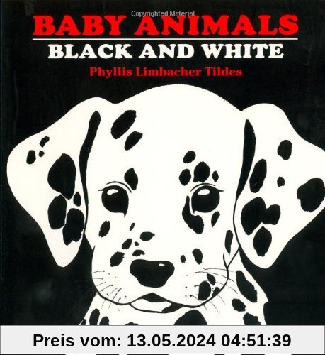 Baby Animals Black and White