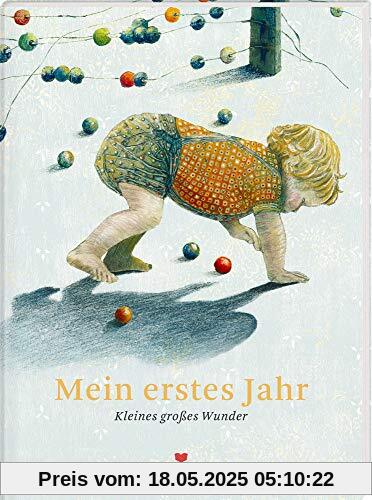 Babyalbum - Mein erstes Jahr: Kleines großes Wunder Babyalbum - Mein erstes Jahr: Kleines großes Wunder