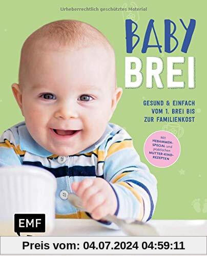 Babybrei – Gesund & einfach vom 1. Brei bis zur Familienkost: Mit Hebammen-Special und praktischen Mutter-Kind-Rezepten