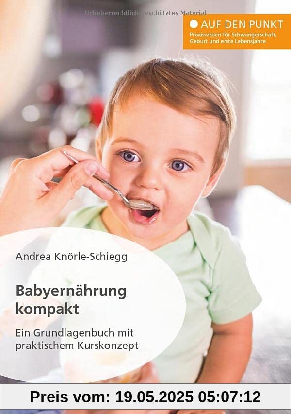 Babyernährung kompakt. Ein Grundlagenbuch mit praktischem Kurskonzept (Auf den Punkt: Praxiswissen für Schwangerschaft, Geburt und erste Lebensjahre)