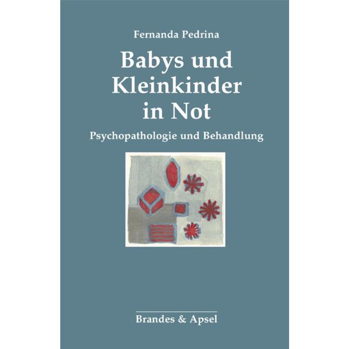 Babys und Kleinkinder in Not Babys und Kleinkinder in Not von Brandes + Apsel Verlag Gm