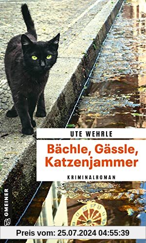 Bächle, Gässle, Katzenjammer: Kriminalroman (Journalistin Katharina Müller) (Kriminalromane im GMEINER-Verlag)