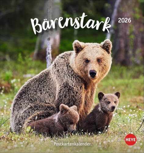Bärenstark Postkartenkalender 2026: Knuffige Bärenfotos in einem kleinen Kalender zum Aufstellen und Aufhängen. Der knuddelige Tierkalender im Format 16 x 17 cm (Postkartenkalender Heye) von Heye