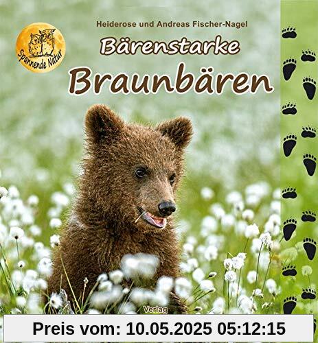 Bärenstarke Braunbären