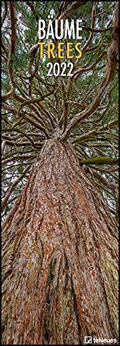 Bäume 2022 - Foto-Kalender - Wand-Kalender - King-Size - 34x98: Trees von teNeues