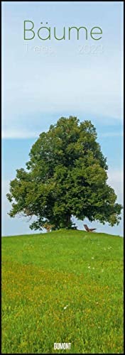 Bäume 2023 - Foto-Kalender - Wand-Kalender - King-Size - 34x98: Trees von Dumont Kalenderverlag