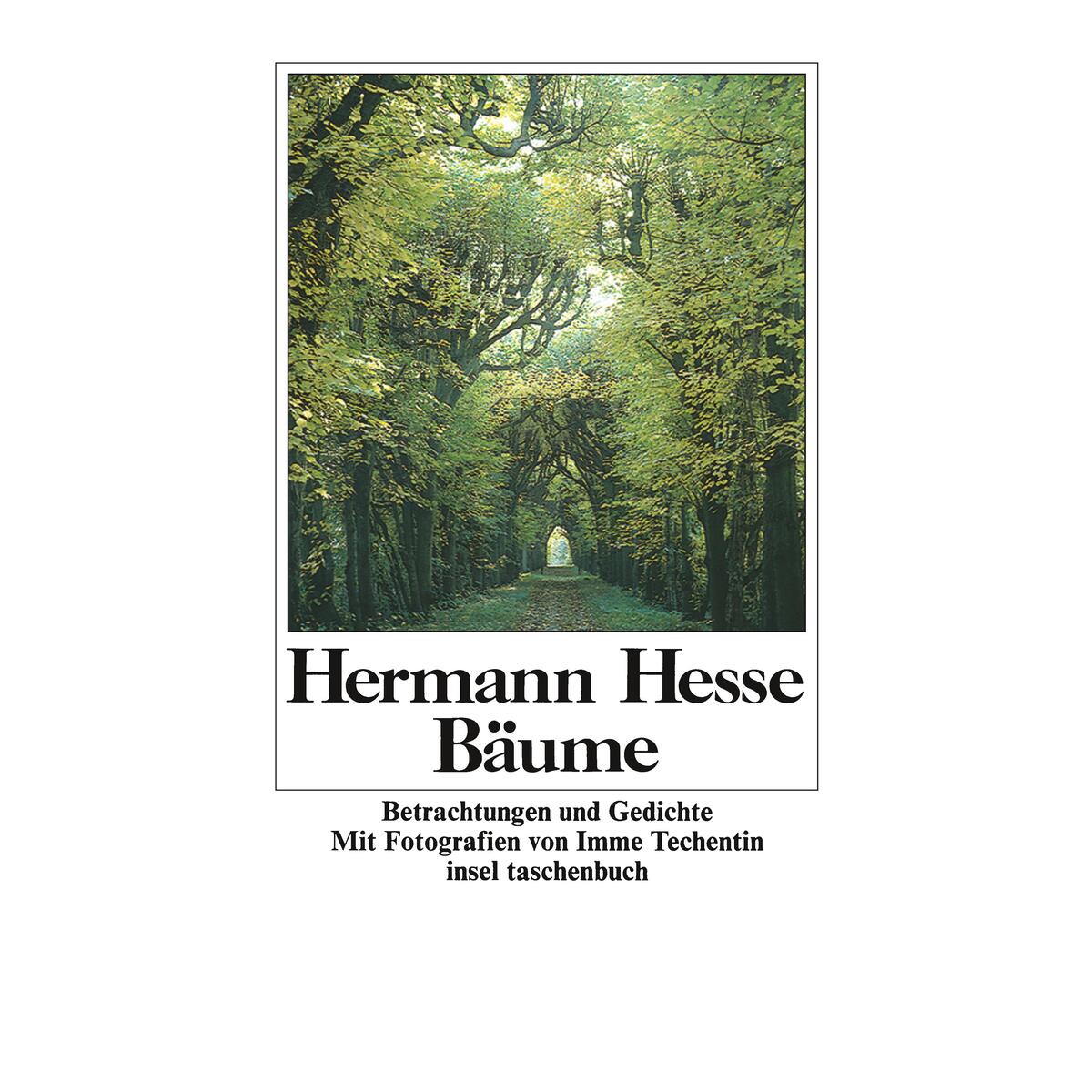Bäume Bäume von Insel Verlag GmbH