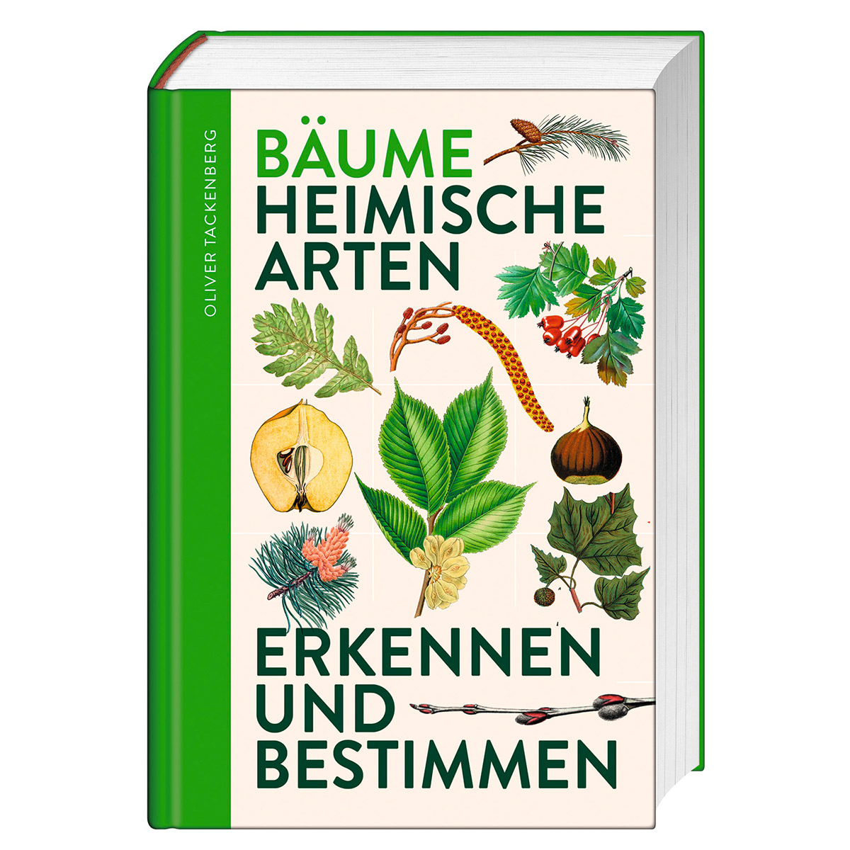Bäume von Favoritenpresse