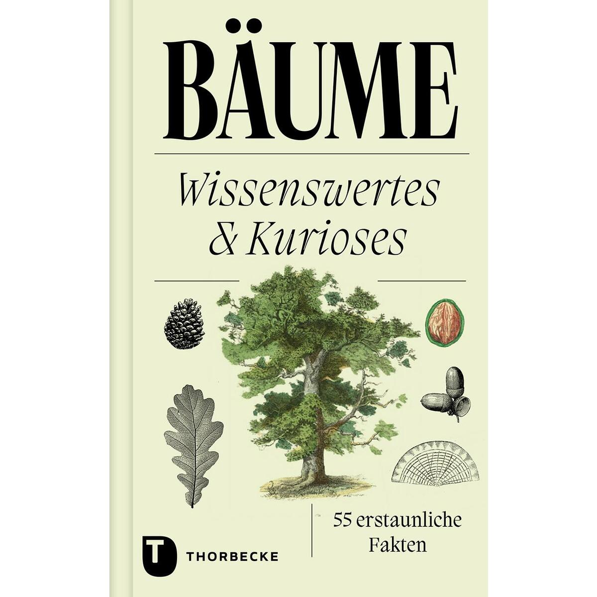 Bäume von Thorbecke Jan Verlag
