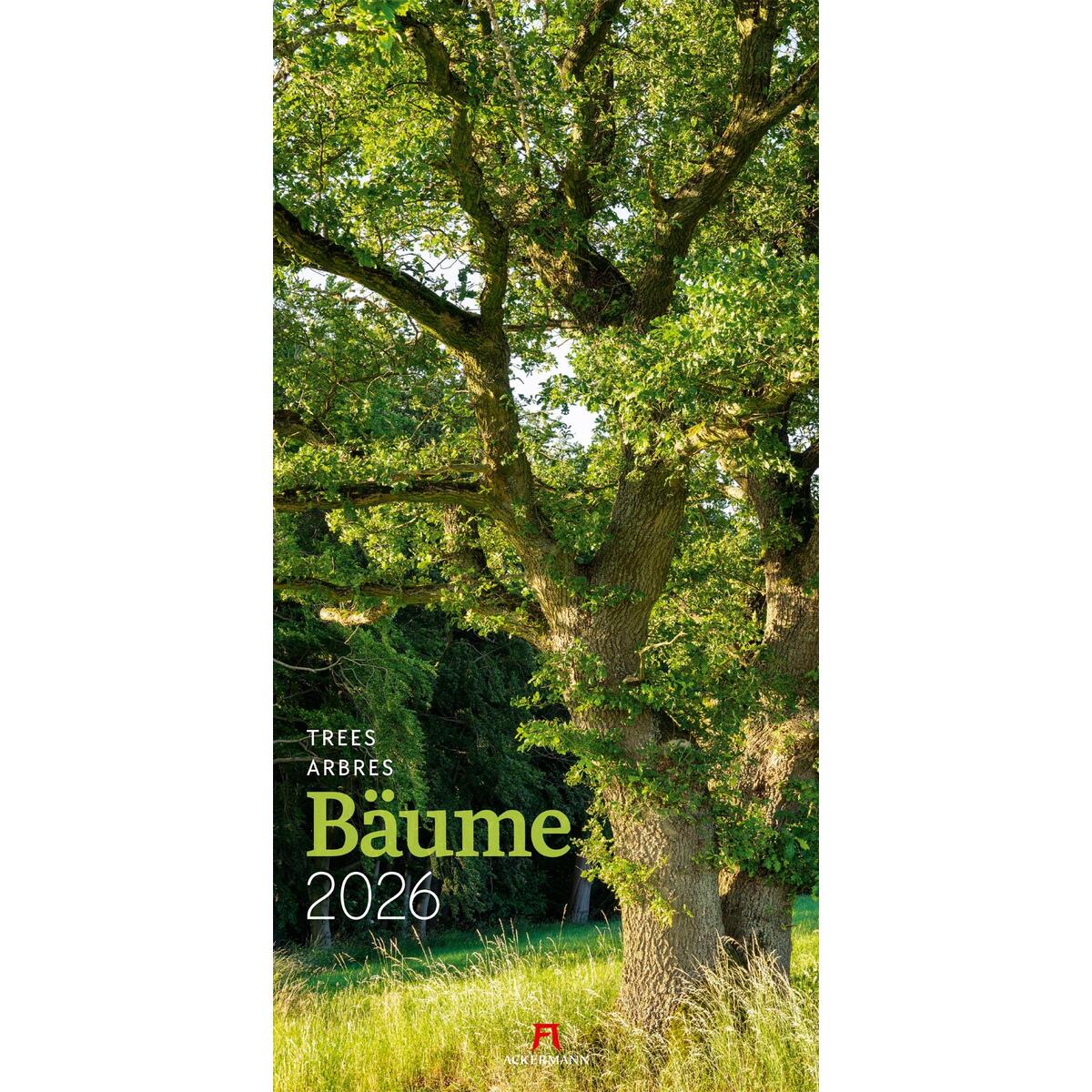 Bäume Kalender 2026 von Ackermann Kunstverlag