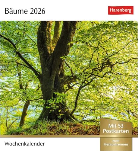Bäume Postkartenkalender 2026 - Wochenkalender mit 53 Postkarten: Fotokalender mit 53 Postkarten zum Sammeln und Verschicken. Dekorative ... Fotografen. Wochen-Tischkalender 2026 von Harenberg