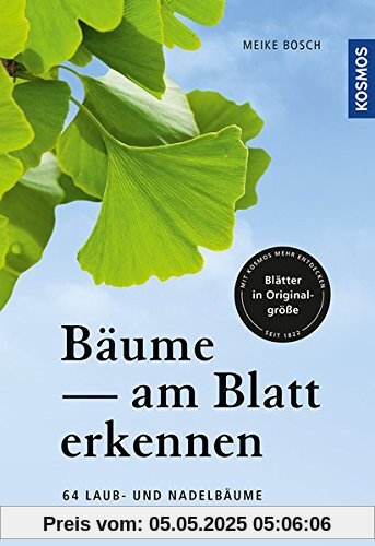 Bäume am Blatt erkennen