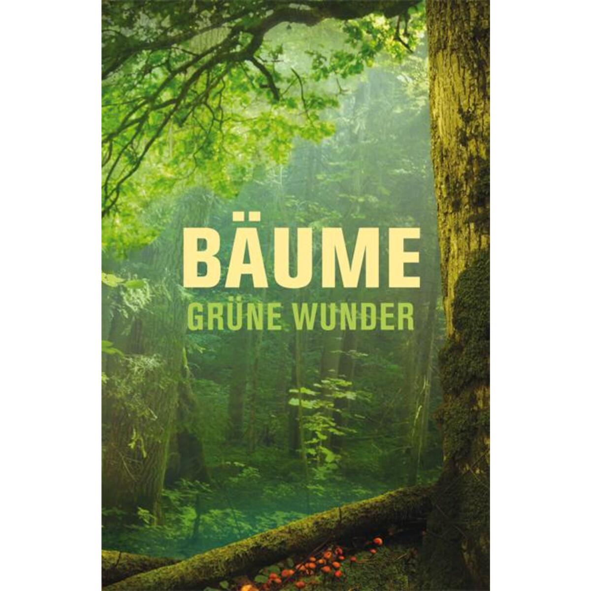 Bäume - grüne Wunder von Buchverlag für die Frau