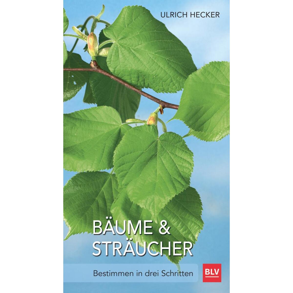Bäume und Sträucher von Blv
