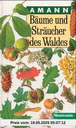 Bäume und Sträucher des Waldes