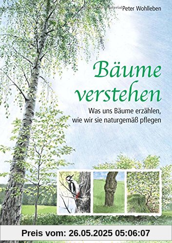 Bäume verstehen: Was uns Bäume erzählen, wie wir sie naturgemäß pflegen