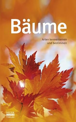 Bäume: Arten kennenlernen und bestimmen