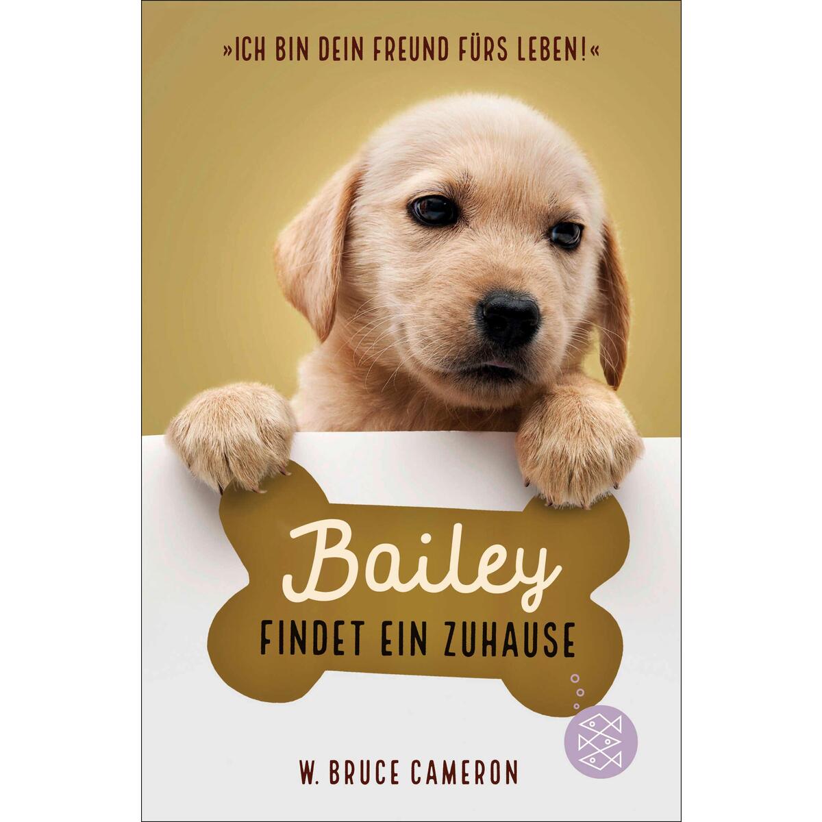 Bailey findet ein Zuhause von FISCHER Sauerländer