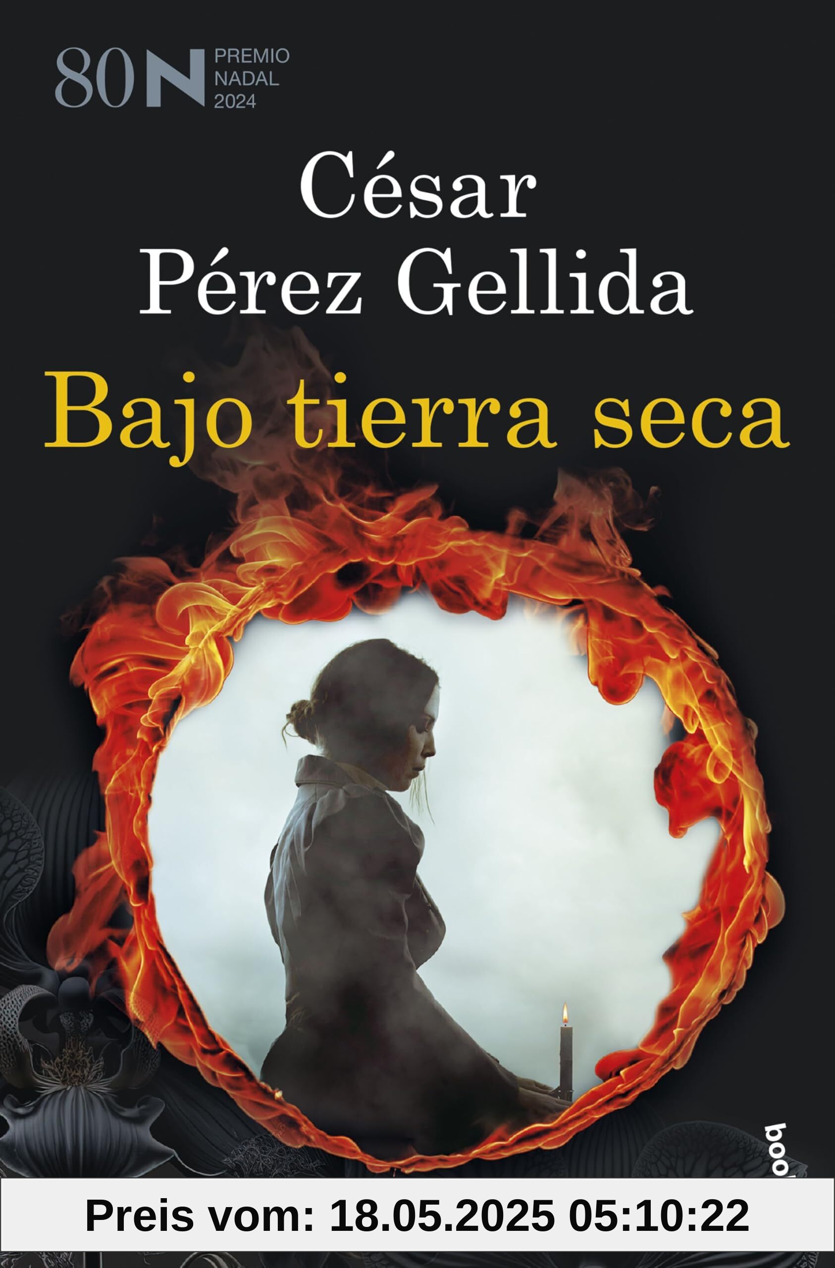 Bajo tierra seca: Premio Nadal de Novela 2024 (Crimen y misterio)