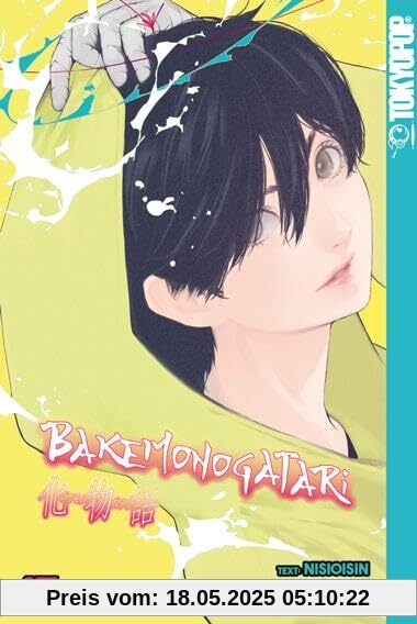 Bakemonogatari 17